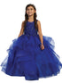 Girls Multi Color Illusion Neckline Lace Applique Trim Pageant Dress 2-12 - SophiasStyle.com